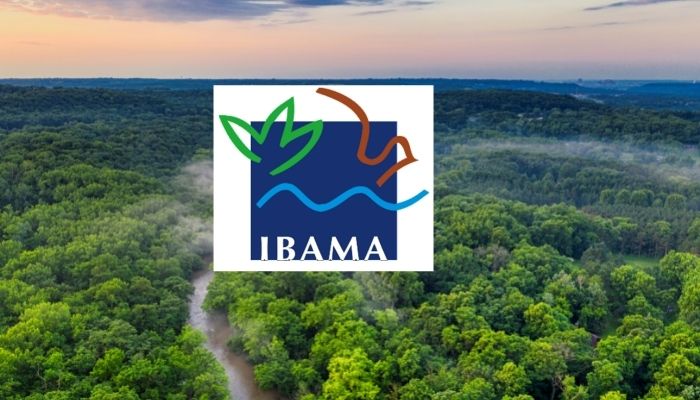 Processo Seletivo IBAMA 2022