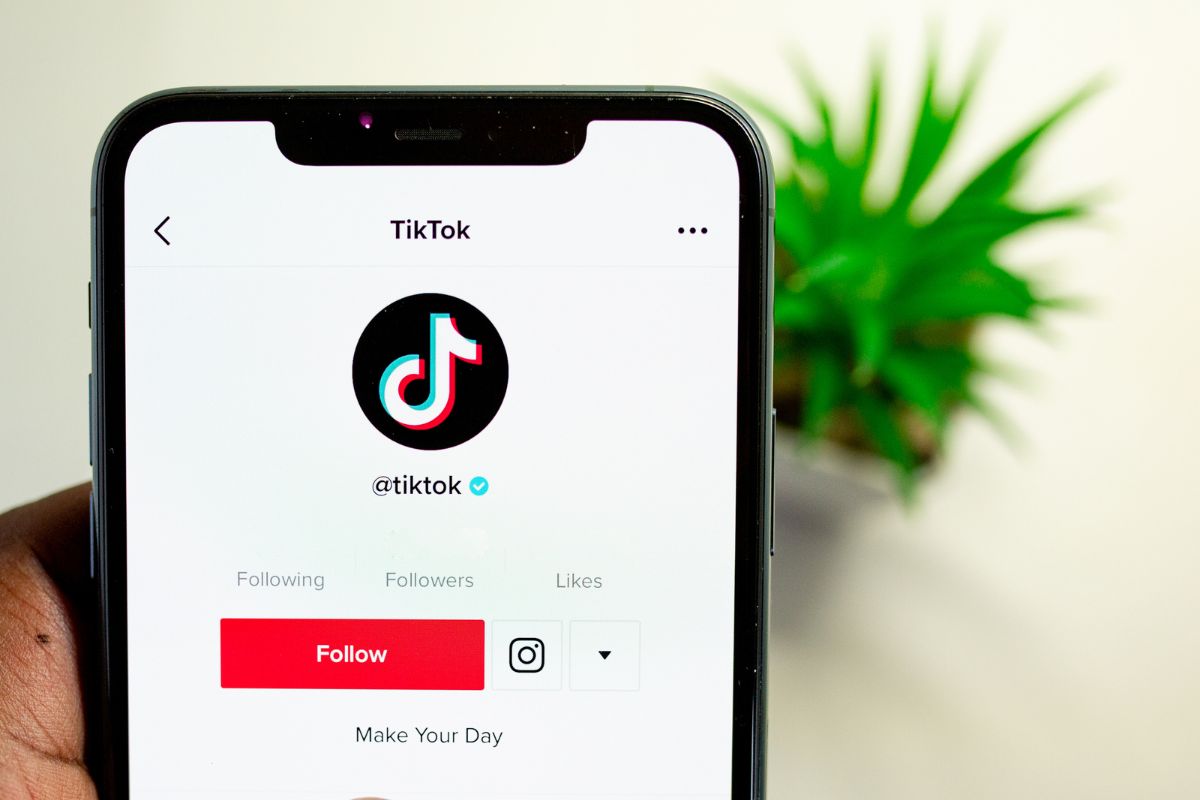 TikTok manda recado aos seus usuários